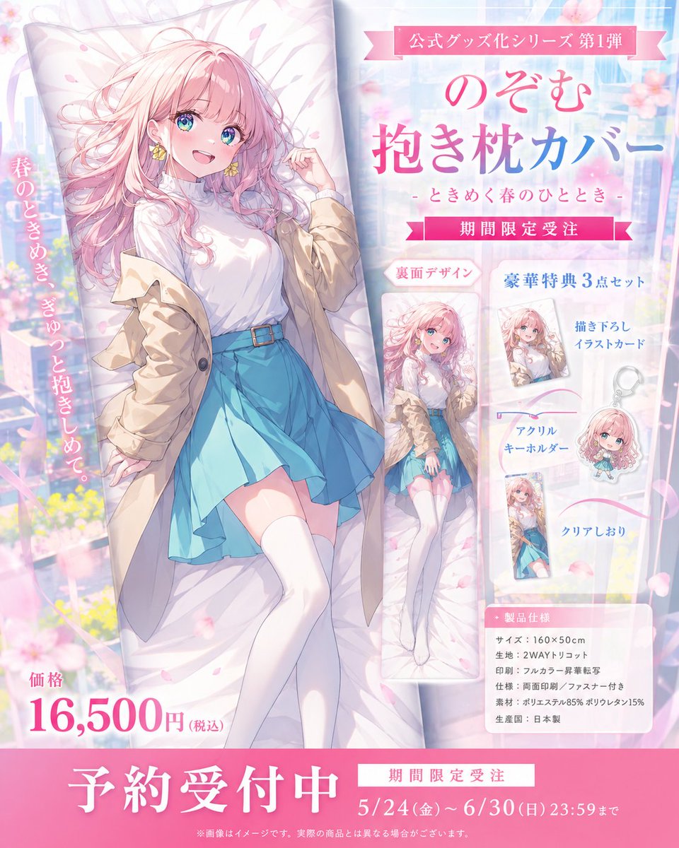Anime Dakimakura Preorder Poster preview image 1