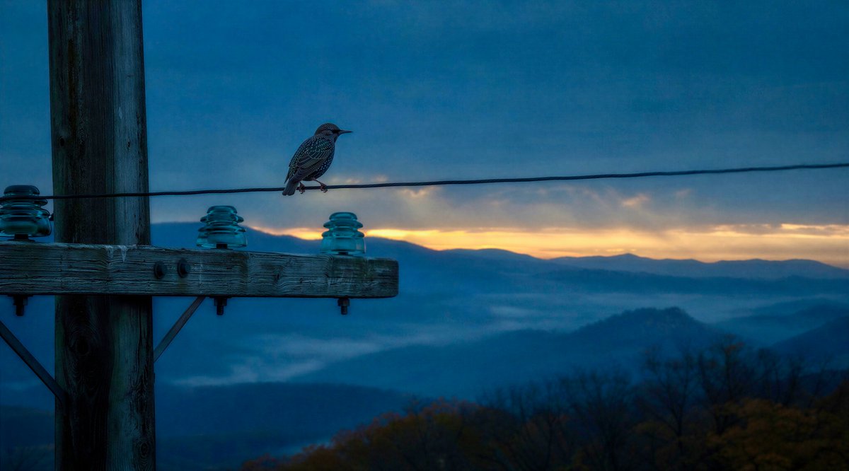 Windblown Woman on Misty Mountain preview image 2