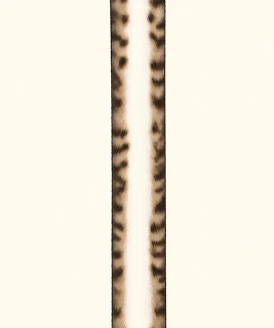 Long Stretching Tabby Cat preview image 1