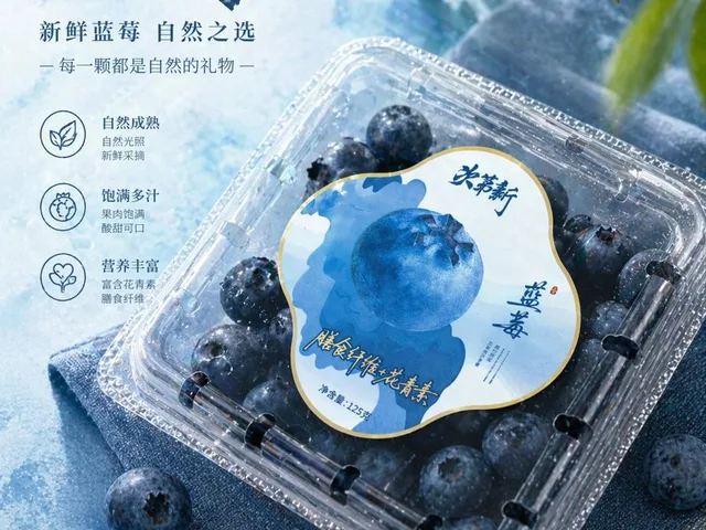 Premium Blueberry Product Poster preview image 1