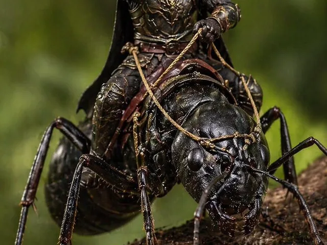 Ant Warrior Macro Photography preview image 1