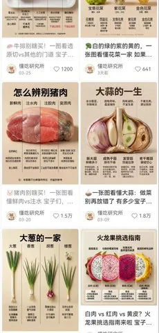 Food Lifecycle Infographic Prompt preview image 1