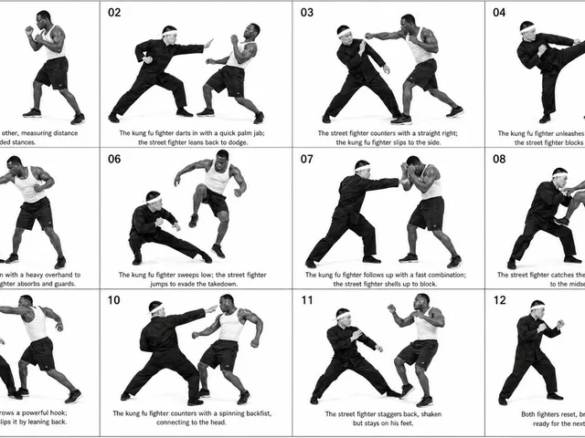 12-Panel Martial Arts Storyboard preview image 1