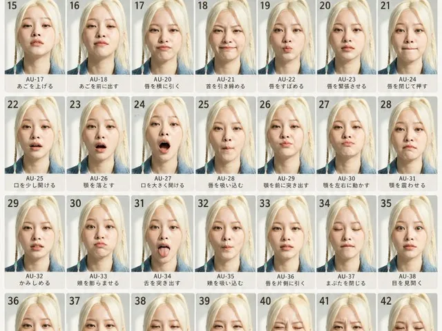 FACS Facial Expression Chart preview image 1