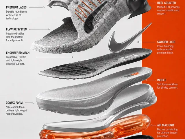 Exploded View Sneaker Infographic preview image 1