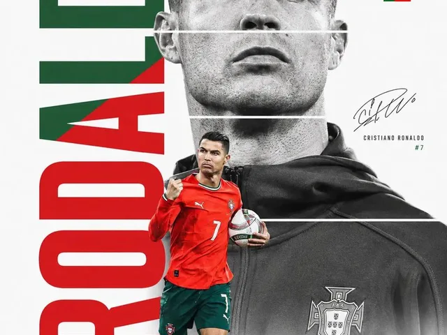 FIFA World Cup Minimalist Poster preview image 1
