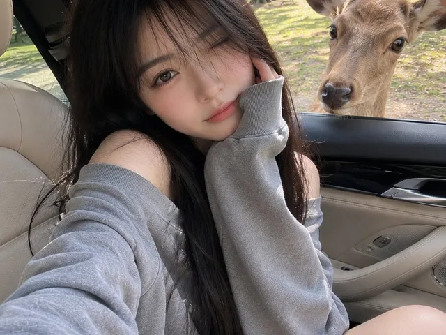 Candid Mobile Travel Snapshot with Deer preview image 1